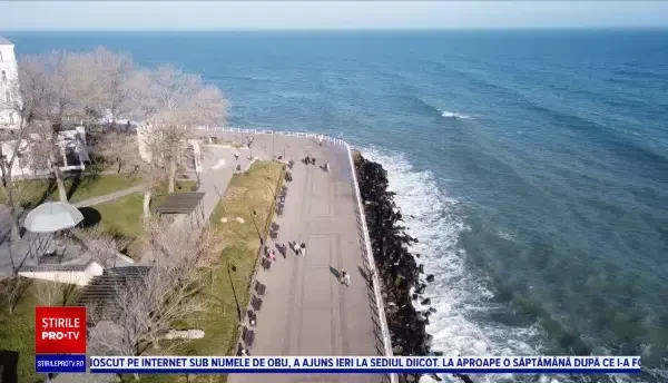 Marea Neagră a devenit „casă” pentru doradă, un pește întâlnit în Marea Mediterană