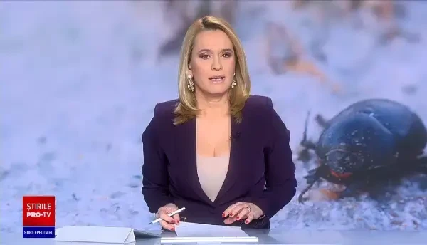 Larva gândacului de bălegar, a patra insectă devenită aliment în UE. Ce persoane nu ar trebui să o consume