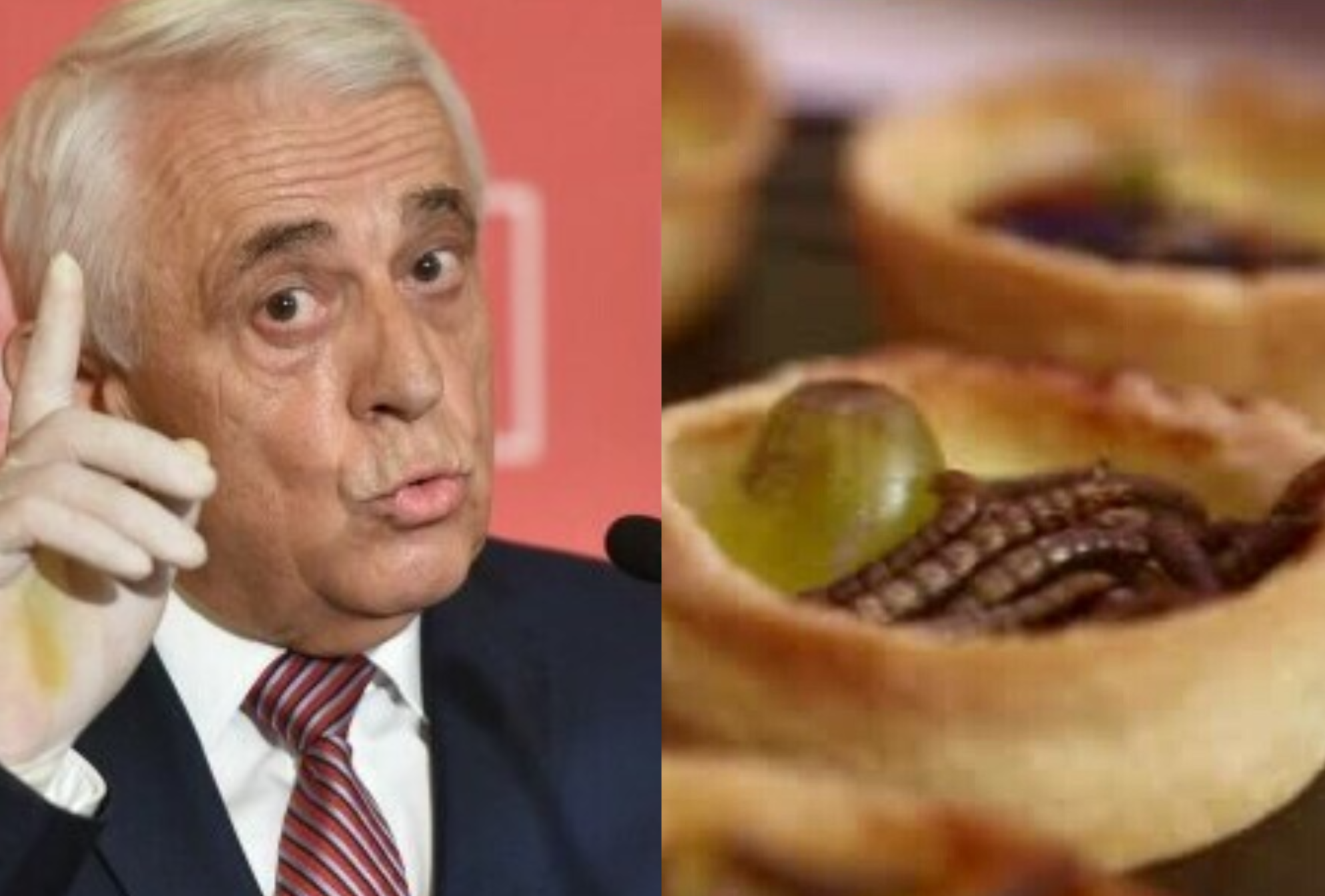 Cum a reacționat Petre Daea când a aflat că larva gândacului de bălegar este comestibilă. „Nu le puneți în farfurii”