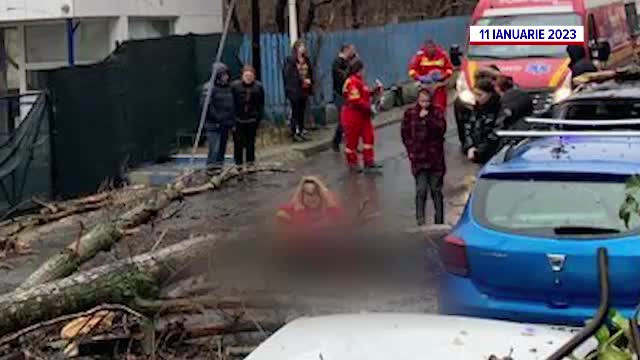 Drama Andei, fata de 22 de ani strivită de un copac în București. Riscă să nu mai poată să meargă