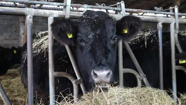 Tinerii fermieri vor primi ajutor de 400 de milioane de euro. Se pot înscrie și cei care au mai luat bani o dată