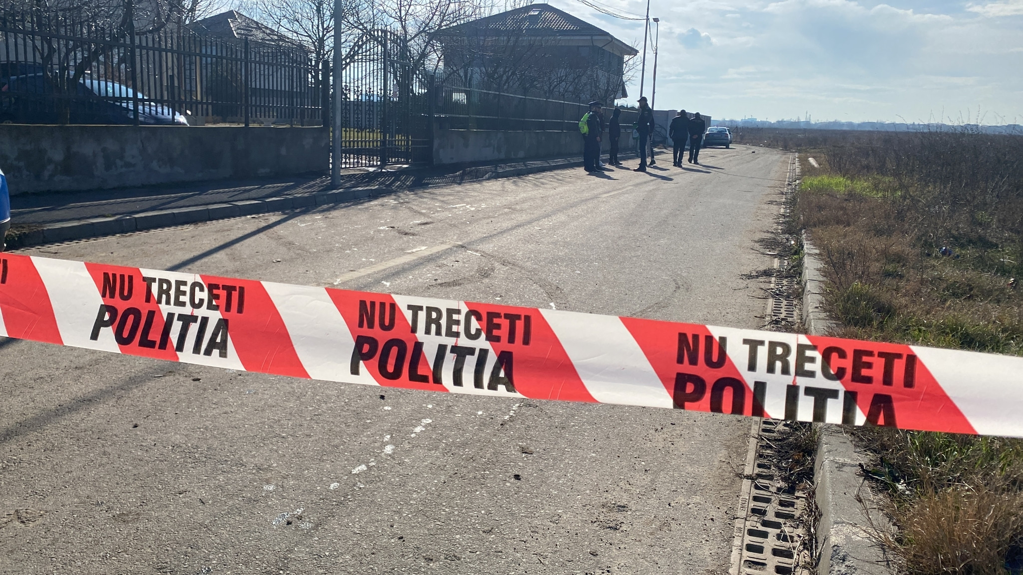 caini, Bucuresti, femeie ucisa