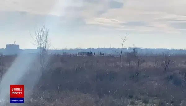 Surse: Femeia din București care a murit după ce a fost sfâșiată de maidanezi a mai fost atacată de câini în același loc