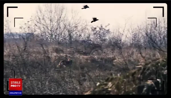 Cine este femeia ucisă de câini lângă Lacul Morii. Criminaliștii abia au reușit să numere leziunile