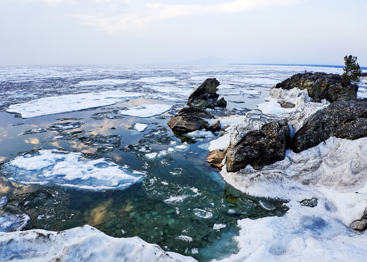 Peștele canibal care trăiește în cel mai vechi și mai adânc lac din lume. Uneori își înghite propriii pui