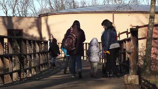 Temperaturile ridicate i-au făcut pe părinți să-și aducă copiii la Zoo Târgu Mureș. Cine a fost atracția principală