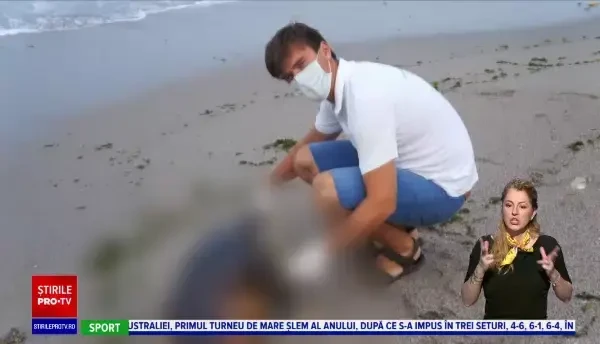 Delfinii din Marea Neagră, în pericol. Peste 200 de exemplare au eșuat anul trecut pe plaje