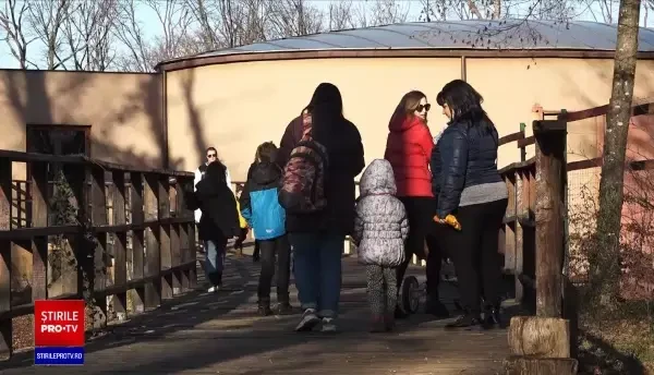 Temperaturile ridicate i-au făcut pe părinți să-și aducă copiii la Zoo Târgu Mureș. Cine a fost atracția principală
