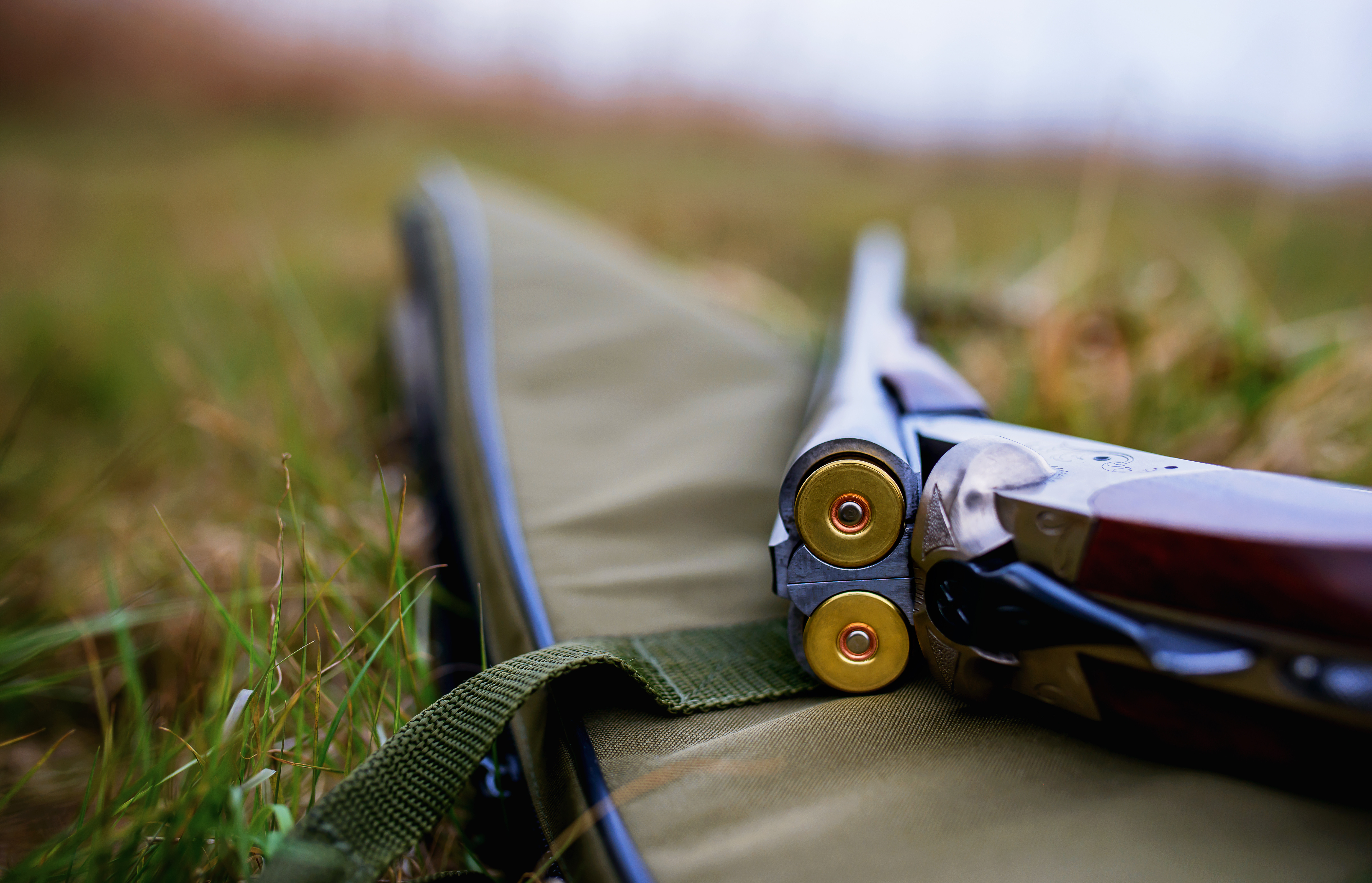 A tras cu pușca în vecin, de Revelion. Individ din Eremitu, ridicat de polițiști