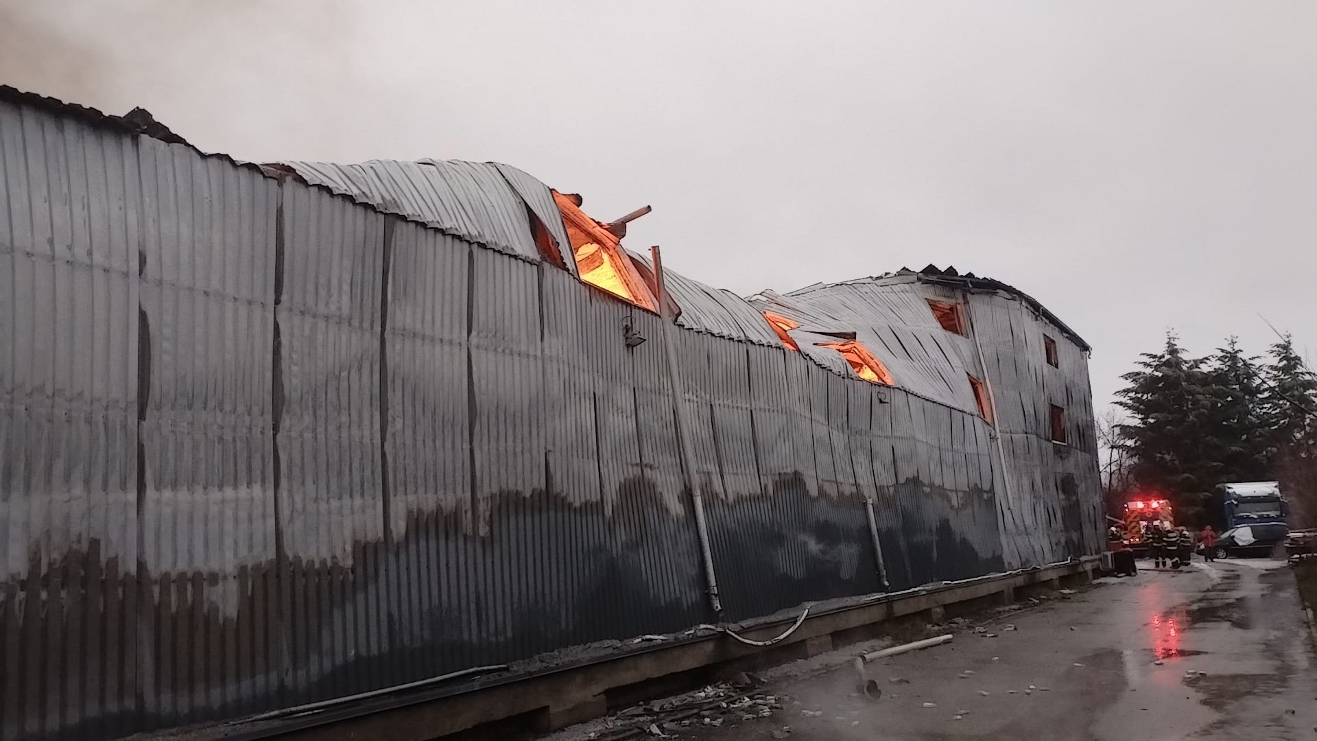 incendiu voluntari