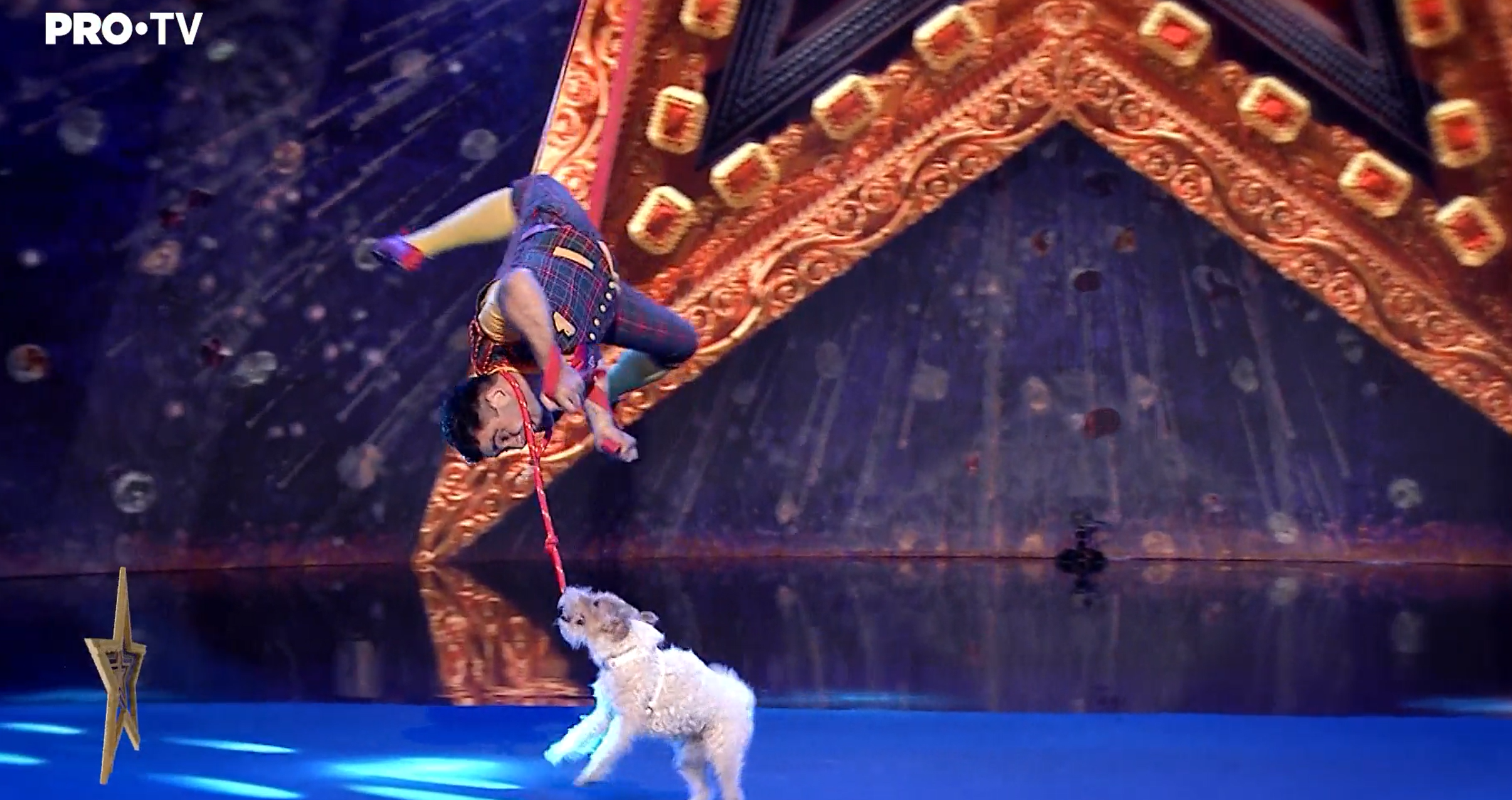 Show la înălțime cu cățelul, la Românii au Talent. „Așa ceva nu am mai văzut!”