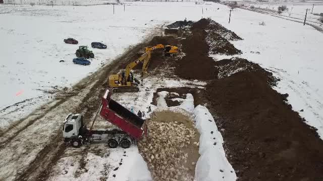 220.000 de curcani vor fi uciși din cauza gripei aviare. Cum a ajuns virusul de la o fermă la alta