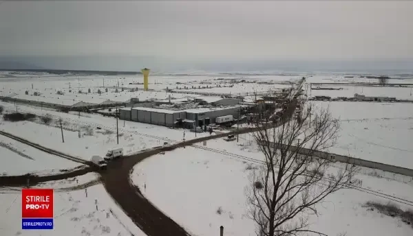 220.000 de curcani vor fi uciși din cauza gripei aviare. Cum a ajuns virusul de la o fermă la alta