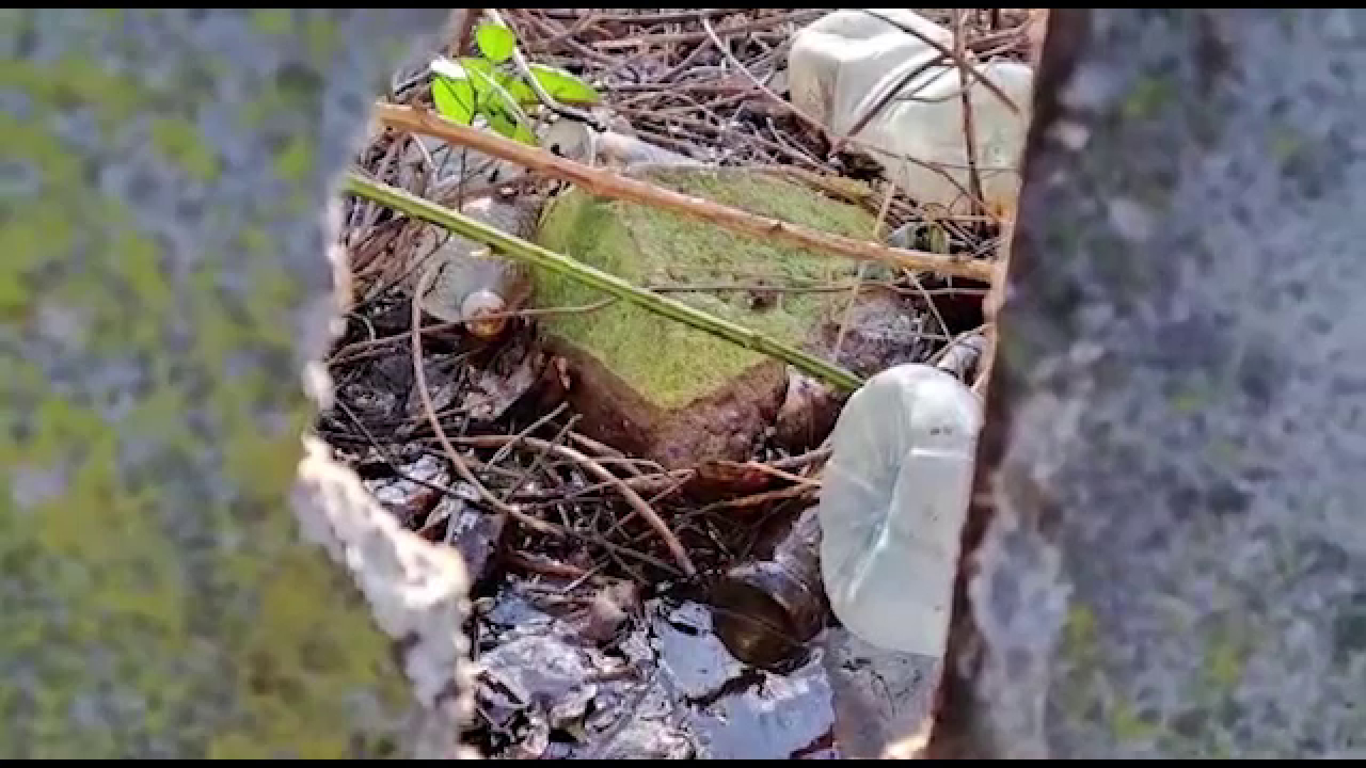 Găselnița unui patron de service din Pitești. Cum a ajuns să polueze râul Argeș și ce pedeapsă a primit