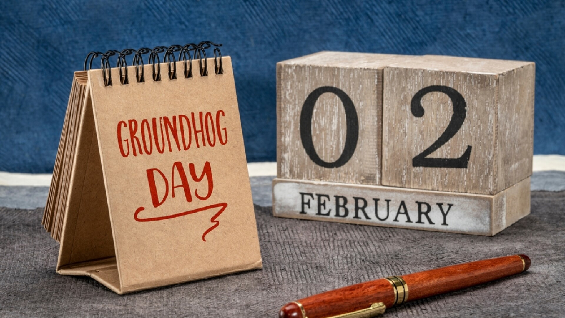 Ziua Cârtiței este sărbătorită pe 2 februarie. Ce semnifică această zi