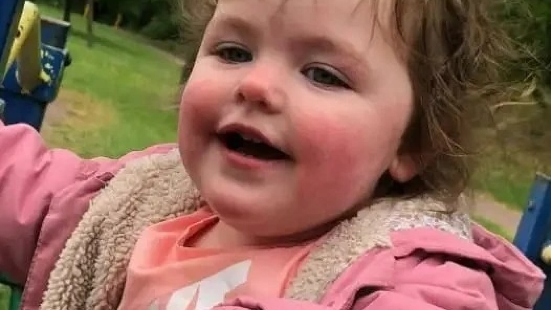 O fetiță de 4 ani a fost ucisă de câinele familiei. Animalul a sfâșiat-o în grădina casei