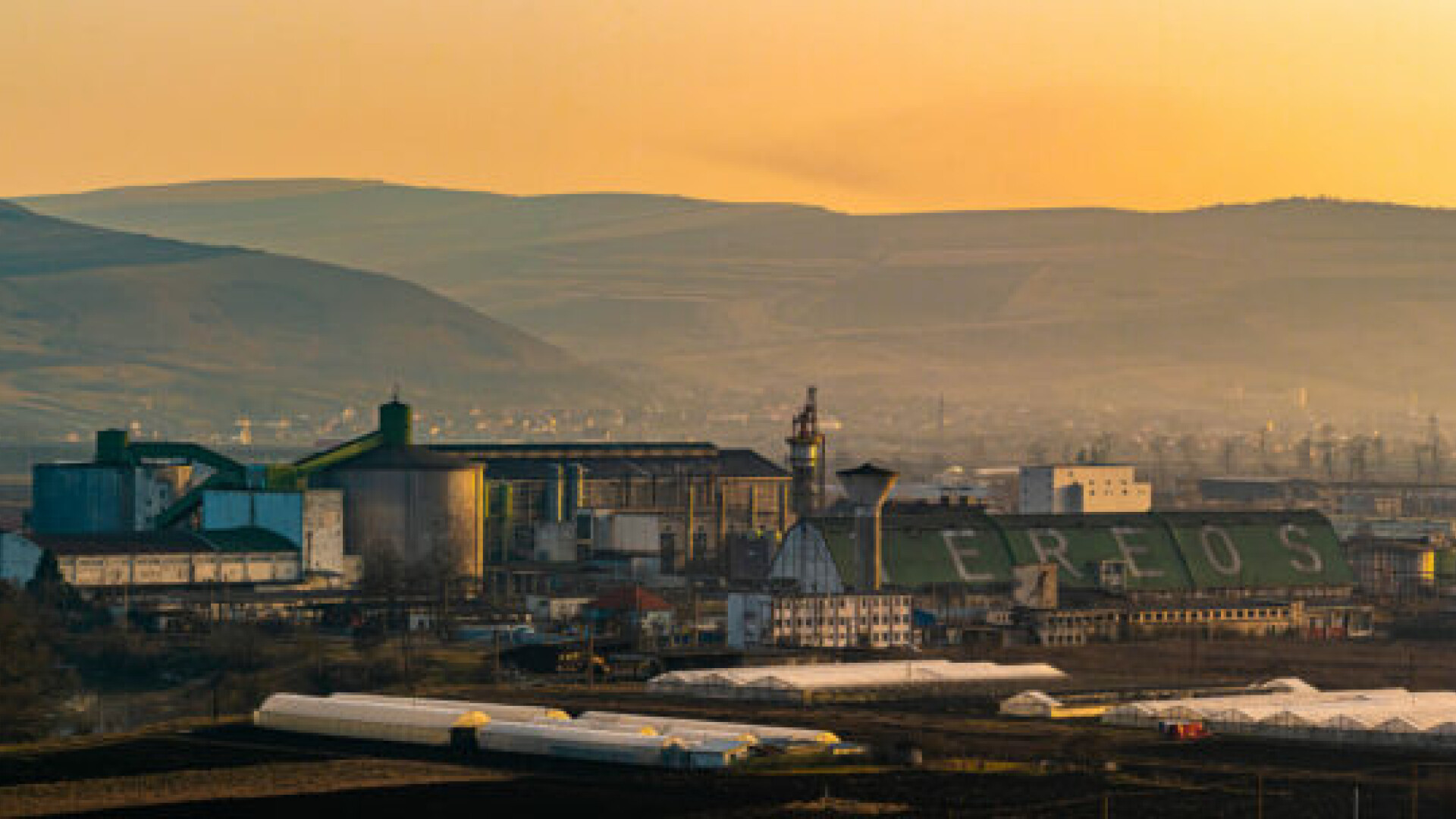 Cei doi români care cumpără fabrica de zahăr de la Luduş. Tereos anunțase că închide activitatea