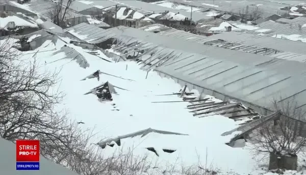 Zăpada a făcut prăpad în solariile din Matca: Foarte grea, apoasă, un fenomen pe care nu l-am mai întâlnit