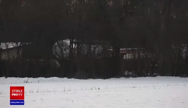 Cum a făcut un bărbat din Prahova cinci milioane de euro după ce a îngropat ilegal în pădure bazine cu produse petroliere