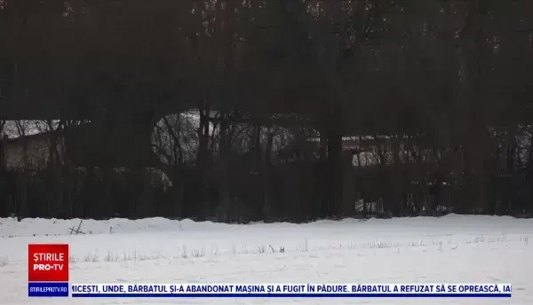 Cum a făcut un bărbat din Prahova cinci milioane de euro după ce a îngropat ilegal în pădure bazine cu produse petroliere