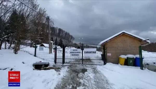 Cum se manifestă septicemia hemoragică virală. S-a declarat focar la o păstrăvărie din Sibiu