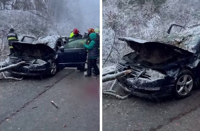 Copac căzut peste o mașină cu patru persoane, în Reșița. A murit un copil de 14 ani
