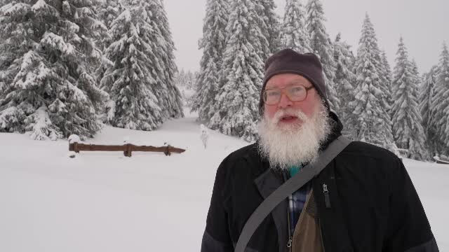 Peisaje de basm în Munții Apuseni, unde a nins din belșug. Turist: "Una dintre puținele bucurii care ne-a mai rămas”