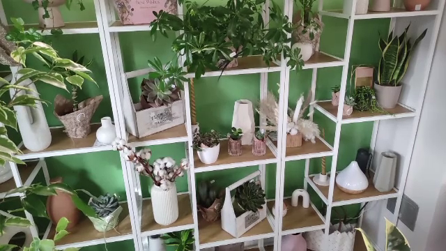 Soluția găsită de un antreprenor din Iași pentru a nu polua când face aranjamente florale