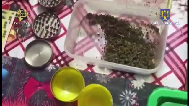 O grupare de dealeri de droguri din Dâmbovița a fost prinsă de DIICOT. Ce au găsit procurorii la percheziții