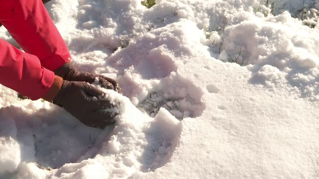 Cum a degenerat o joacă de copii în zăpadă la Gherla într-un scandal cu urmăriri și bătăi între adulți