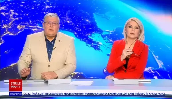 O grupare de dealeri de droguri din Dâmbovița a fost prinsă de DIICOT. Ce au găsit procurorii la percheziții