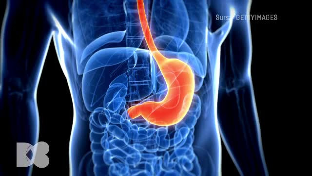 De ce nu este bine să ”ronțăim” între mese? Iată ce fenomen periculos se produce pentru tot organismul