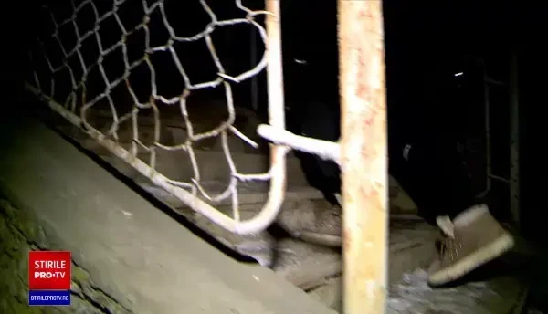 Un copil din Iași se zbate între viață și moarte, după ce a căzut de pe o pasarelă și s-a electrocutat. Cum s-a produs totul