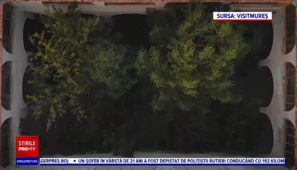 Județul din România inclus într-un top mondial al celor mai ospitaliere regiuni din lume