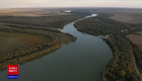 Caii din Delta Dunării vor fi microcipați. Autorităţile spun că animalele ar strica ecosistemul şi ar putea răspândi boli