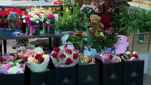 Un bărbat și-a cerut în căsătorie iubita printr-un mesaj purtat pe cer de un avion, de Valentine's Day