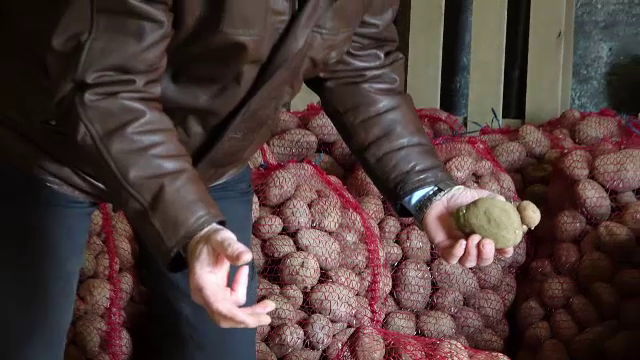 Bani europeni pentru agricultori. Cartoful a intrat pe lista legumelor pentru care producătorii ar putea primi finanțare