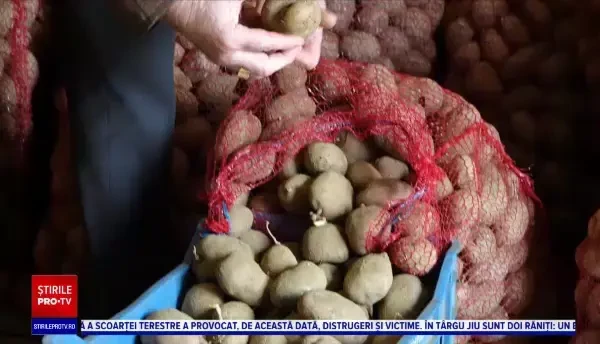 Bani europeni pentru agricultori. Cartoful a intrat pe lista legumelor pentru care producătorii ar putea primi finanțare