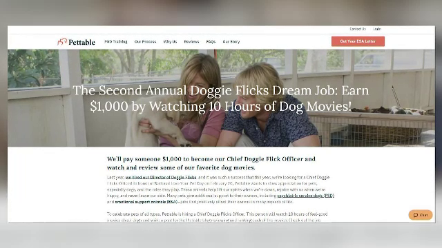 O firmă din Statele Unite caută o persoană care să se uite la filme timp de zece ore. Care este motivul