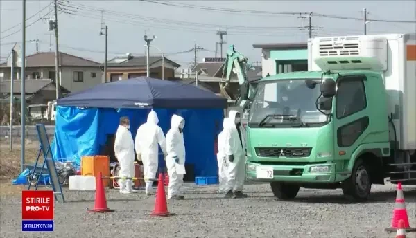 Se înmulțesc focarele de gripă aviară, peste tot în lume. Aprovizionarea cu ouă și carne este pusă în pericol