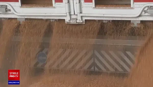 Grâu ieftin, pâine scumpă. Explicațiile producătorilor pentru prețurile mari la produsele de panificație