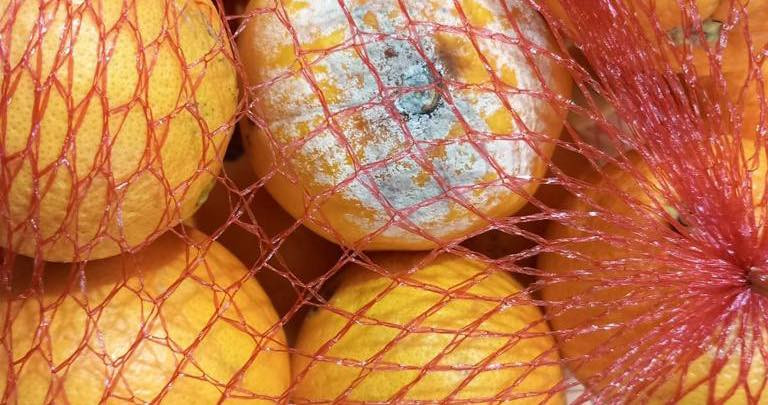 Zeci de magazine Lidl din toată ţara, închise de ANPC. Alimente cu mucegai și expirate, doar câteva dintre nereguli. FOTO