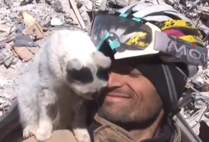 O pisică salvată după 11 zile nu se mai dezlipește de bărbatul care a găsit-o sub dărâmături. Video viral