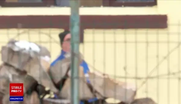 Ministerul Educaţiei vrea să cumpere microbuze şcolare electrice în valoare de 200 de milioane de euro prin PNRR