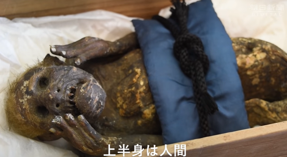 Misterul din jurul „sirenei mumificate” a fost rezolvat după aproape 300 de ani | VIDEO