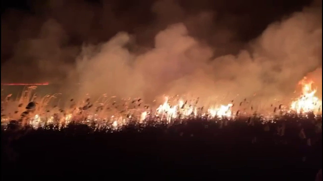Incendiu puternic în Delta Dunării. Au ars 20 de hectare de vegetație uscată. Un complex turistic, în pericol să se aprindă
