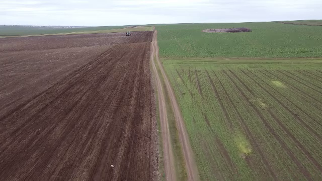 Fermierii români, obligați să cultive plante proteice pe cel puțin o zecime din terenurile pe care le dețin