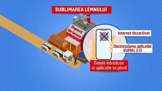 Marea defrișare | Mafia pădurilor din România taie și cară lemn din munți, în timp ce anchetele și procesele bat pasul pe loc