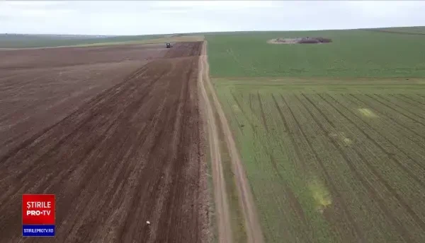 Fermierii români, obligați să cultive plante proteice pe cel puțin o zecime din terenurile pe care le dețin