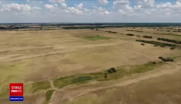 „Sahara Olteniei” s-a extins îngrijorător de mult. Nisipul mănâncă zilnic din pământul fertil al țării
